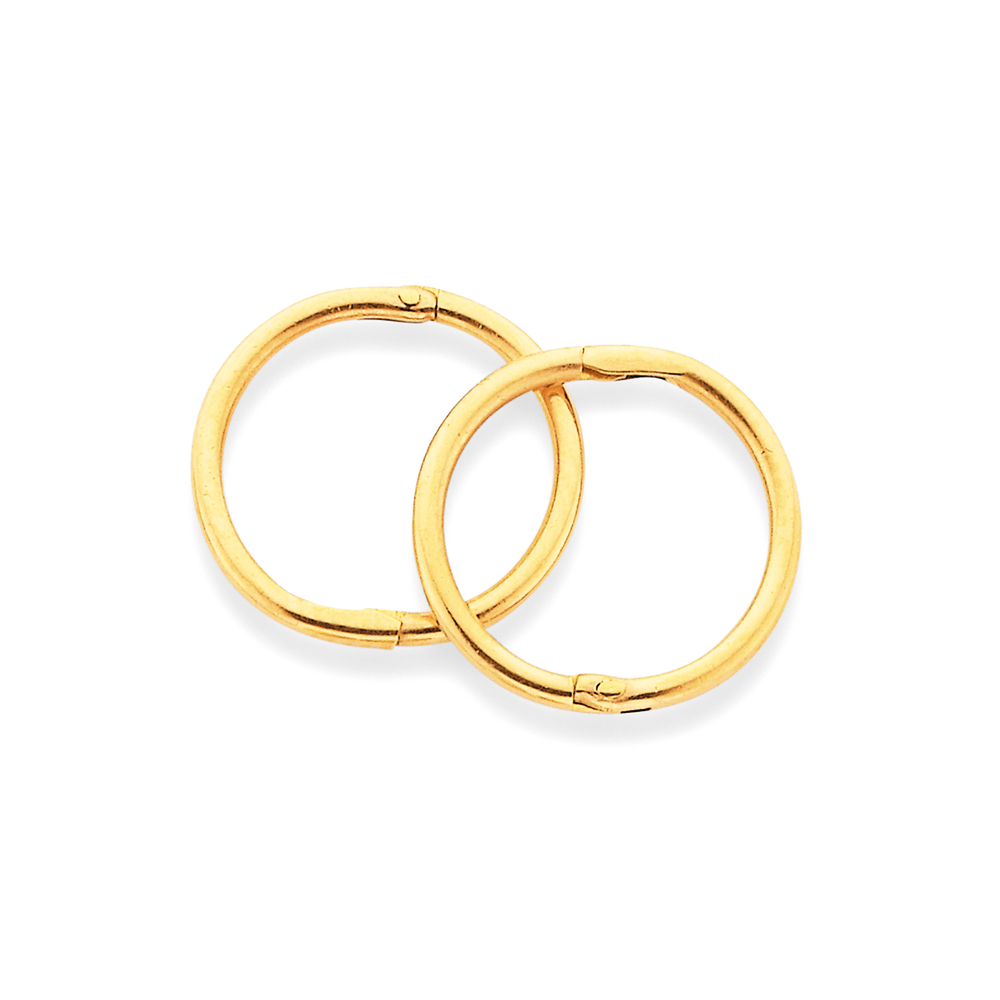 9ct sleeper earrings store