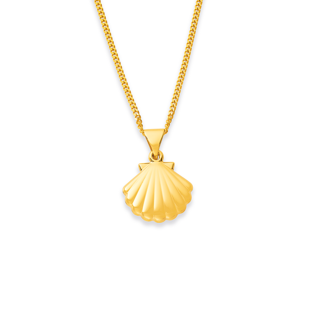 9ct Scallop Shell Pendant Pascoes