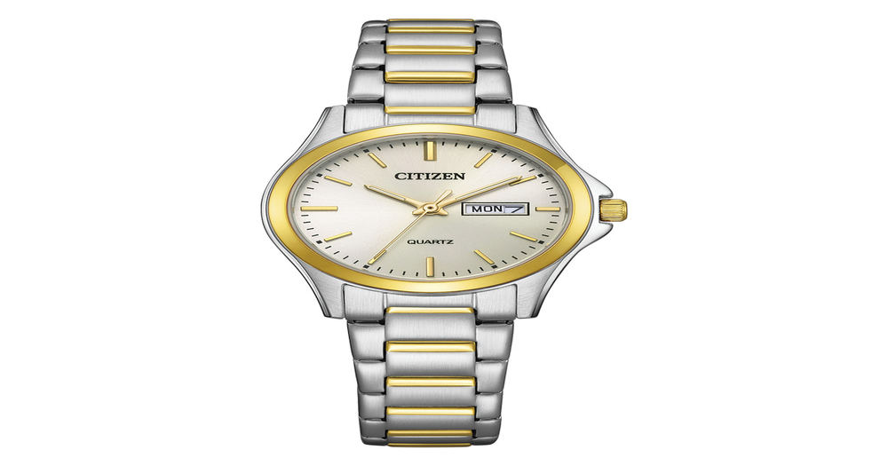 Citizen Ladies Watch in Silver Pascoes