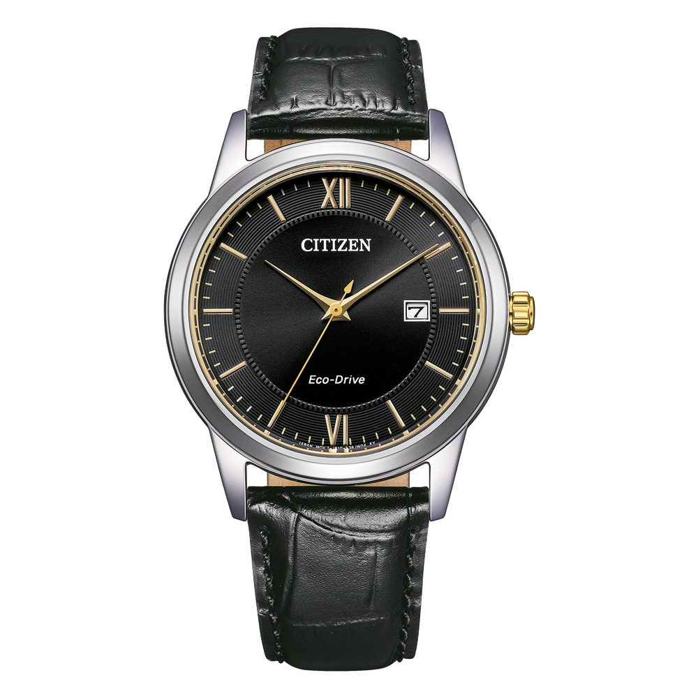 Citizen Men s Watch in Silver Pascoes